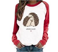 AMhomely Womens Cat Print Pullover Kawaii Hedgehog Pattern Sweatshirts Casual Color Block Raglan Long Sleeves O Neck Loose Tops Blouses Ladies Crew Neck Jumpers Loose Pullover
