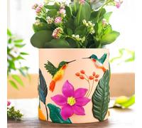 AmiCera Cute Hummingbird Flower Pot, Unique Succulent Plant Pot with Drainage, Small Planter for Indoor Plants, Funny Eclectic Home Decor Gift for Plant Lovers