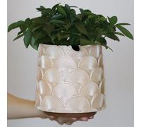 AmiCera Pearl Beige Scale Flower Pot, Colourful Plant Pot with Drainage, Eclectic Cute Small Planters for Indoor Plants, Rainbow Funny Succulents Gardening Pot Gifts