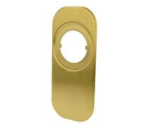AMIG 6356 - Faceplate 10 - 165 x 74 Brass Matt