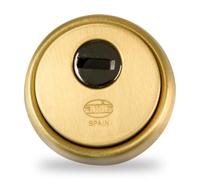 Amig - Cylinder protector Mod. 31 - Brass - Gold finish - Hollow outer ring - Ø65 mm - With anti-drill plate - With screws and mounting support - For Euro profile cylinder EN1303 - Sintered steel body