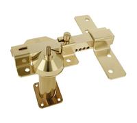 Amig - Security Deadbolt Model 3-70mm Cylinder - Plate Size 105 x 170 mm - Surface-Mounted Deadbolt for Entrance or Interior Doors - Steel - Gold