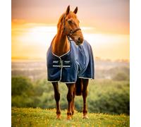Amigo® Ripstop 900D Turnout 0g - Horseware Ireland