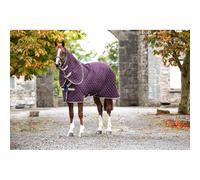Amigo Stable Plus Medium - Disc Front Closure - 200g