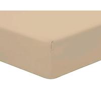 AmigoZone Pollycotton 180 TC Non Iron 25cm Fitted Bed Sheet (Double, Latte)