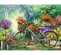 Amiiba DIY Paint by Numbers Kits, Abstract Bicycle, Flower Mart 16x20 inch Acrylic Painting by Number Wall Art Crafts (Bicycle, Without Frame)
