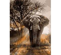 Amiiba DIY Paint by Numbers Kits, African Grassland Animals Elephant 16x20 inch Acrylic Painting by Number Wall Art Crafts (Elephant, Without Frame)