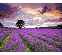 Amiiba DIY Paint by Numbers Kits, Lavender Field Colorful Clouds 16x20 inch Acrylic Painting by Number Wall Art Crafts (Lavender, Without Frame)