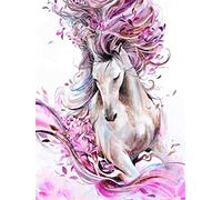 Amiiba DIY Paint by Numbers Kits, Pink Horse 16x20 inch Acrylic Painting by Number Wall Art Crafts (Horse, with Frame)