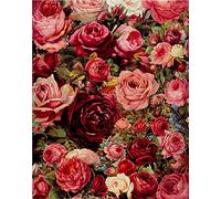 Amiiba DIY Paint by Numbers Kits, Red Pink Flowers 16x20 inch Acrylic Painting by Number Wall Art Crafts (Rose, Without Frame)