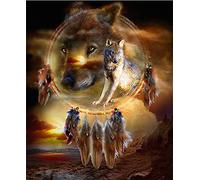 Amiiba DIY Paint by Numbers Kits, Wolf and Dream Catcher 16x20 inch Acrylic Painting by Number Wall Art Crafts (Wolf, with Frame)
