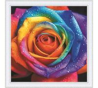 Amiiba Pre Printed Cross Stitch Kits for Adults, Rainbow Rose 11ct Stamped Embroidery Kits DIY Wall Art Decor for Beginners (Rose)