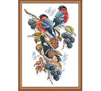 Amiiba Pre Printed Cross Stitch Kits for Adults, Red Bellies Magpies and Blackberries 14ct Stamped Embroidery Kits DIY Wall Art Decor for Beginners Kids