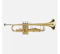 Amilav Collections Standard TRUM-2418 Gold Bb Trumpet Set - Trumpets for Beginner or Advanced Players with Hardcase, 7C Mouthpiece, Value Oil, Gloves - Brass Musical Instruments For Kids & Adults