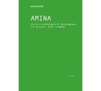Amina: Storia e archeologia di Pontecagnano tra Etruschi, Greci e Romani