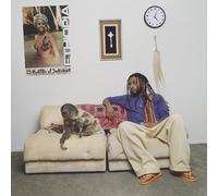 Aminé - 13 Months of Sunshine [VINYL]