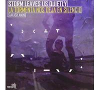 Amini, Siavash - Storm Leaves Us Quietly