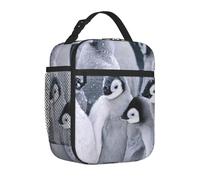 AMINNU Cute Penguin Insulated Lunch Bag with Side Mesh Bag Portable Waterproof, Warm and Leak-Proof Lunch Bag for Boys and Girls Picnic School Work