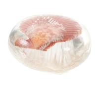 Amino Acid Soap Moisturizing Hydrating Glycerin Bar