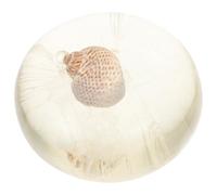 Amino Acid Soap with Glycerin for Face and Body Shower | Hydrating, Mild and Safe Cleansing, Delicate Ocean Style Decor, Jelly Shell Starfish Conch Look