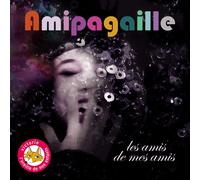 Les Amis de Mes Amis