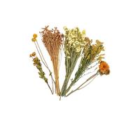 AMISENK Natural Dried Flower Hamster Bedding Safe Colorful Habitat Decor & Nesting Accessories Decorative Hamster Bedding Safe Materials