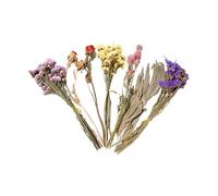 AMISENK Natural Dried Flower Hamster Bedding Safe Colorful Habitat Decor & Nesting Accessories Decorative Hamster Bedding Safe Materials