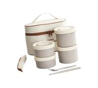 AMISENK Premium 410 Rustless Box With Insulated Lunch Container 4 Compartment Meal Canisters Oven And Introduction Heating Safe Impermeable Lunch Set For Adults Kids Rustless Mealbox Large Capacity