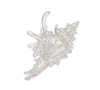AMISENK Vibranting Acrylic Conch Hair Clip Sturdy Clasp for Women Multiple Shades Available Acrylic Conch Shell Clip