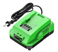 Amitself 40V Charger Replacement for Greenworks Battery Charger,Compatible with 29482 29252 20202 22262 29472 29462 Greenworks 40V MAX Power Tools Green