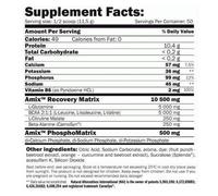 Amix Recovery Max canister (575 g)