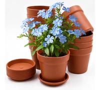 AMJKEJI 12 Pcs Small Plant Pots Plastic Flower Pot 10cm Seedling Pots with Drainage Hole and Tray for Flowers, Succulent, Cactus, Cuttings, Indoors Outdoors Plants, Terracotta