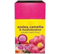 AMK® Miracle Gro Azalea Camellia & Rhododendron Plant Food 500g Soluble Ericaceous Feed for Acid Loving Plants with Iron Prevents Leaf Yellowing Fertiliser for Vibrant Flowers