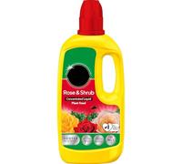 AMK® Miracle Gro Rose & Shrub Concentrated Plant Food 800ml Fast Acting Liquid Feed for Bigger Blooms and Healthier Plants Specialist Garden Fertiliser for Flowers