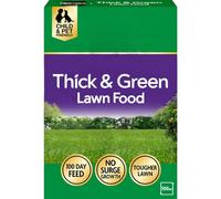 AMK® Miracle Gro Thick & Green Lawn Food 100m2 Natural Fast Acting Grass Fertiliser for Greener Turf in 7 Days Granular Feed Strengthens Roots Crowds Out Weeds
