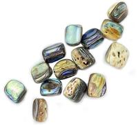 Amlhy 5 pcs Abalone Paua Shell Beads Irregular Round Shape Shell Beads for DIY Earring Bracelet Necklace Jewelry Making - 8x10mm