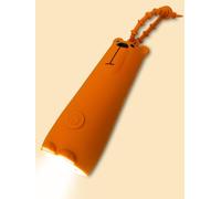 Ammonite Bear Mini Flashlight, Rechargeable Dimmable USB
