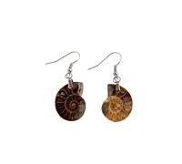 Ammonite Fossil Earrings for Women Natural Snail Shell Dangle Earrings 2cm Small Alloy Hook Bohemian Geology Jewelry for Daily Wear Party Gift