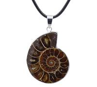 Ammonite Fossile Necklace, Natural Ammonite Crystals Pendant Necklace, Snail Fossils Pendant, Ammonites Healing Crystal Stone Spirals Necklaces, Spirals Stone Pendants With Adjustable Cord