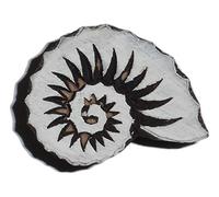 Ammonite Seashell Shaped Indian Hand Carved Wooden Printing Block Stamp