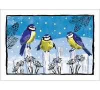 Amnesty International Christmas Cards - Blue Tits - Pack of 10