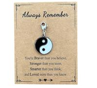 AMOBESTER Taichi Yin and Yang Clip on Charms Balance of Life Jewelry for DIY Bracelet and Necklace