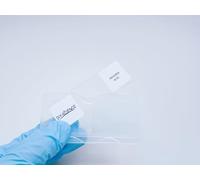 Amoeba Proteus Whole Mount Prepared Microscope Slides, 1pcs Amoeba Slide Shows Nucleus, Cytoplasm and The Cell Membrane