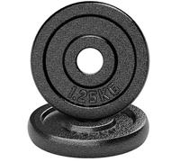 Amonax Cast Iron Weight Plates Set, 2.5kg, 5kg, 10kg Dumbbell Plates for 1" Weight Bars, Metal Barbell Plates for Weight Lifting Hip Thrust, Steel Weight Plates for Home Gym (Round | 1.25KG x 2)