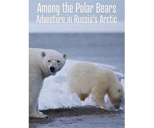 Among the Polar Bears - Adventure in Russia's Arctic
