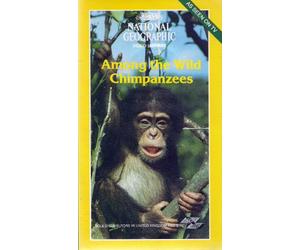 Among the Wild Chimpanzees [VHS]