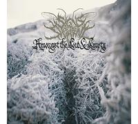 Signs of the Swarm – Amongst The Low & Empty – Vinyl (2023)