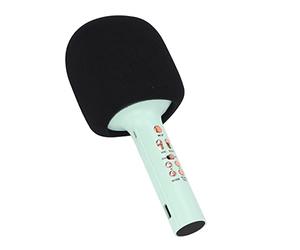 AMONIDA Bluetooth Microphone, Handheld Portable Microphone Wireless Cute (Green)
