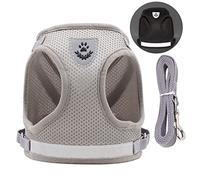 AMONIDA Dog Harness and Leash Reflective Adjustable Comfortable for Small Medium Dogs Pet Walking Set 3.9ft (M)