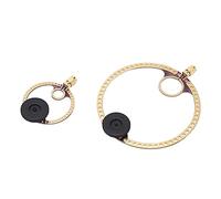 AMONIDA Loop Active Receiving Antenna with Compact Design and Enhanced Signal Reception for FM and Shortwave Radio Use, Durable PCB Material, 2 Units